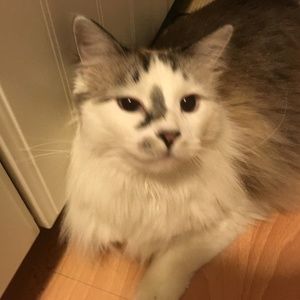 Meet your Posher, Bethany